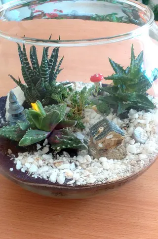Terarium