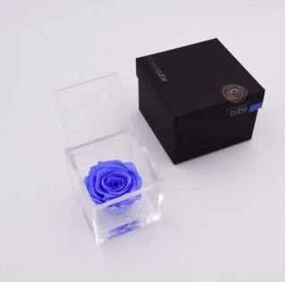 Rosa stabilizzata blu M