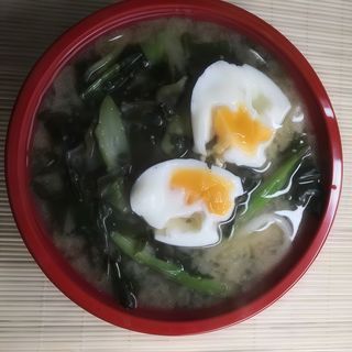 Miso udon