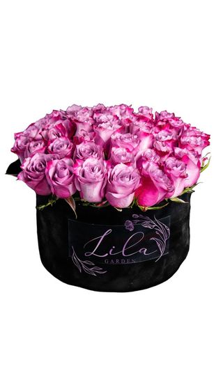 Cutie mare Trandafiri Mov