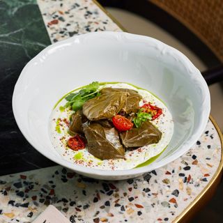 ტოლმა იხვის მკერდით