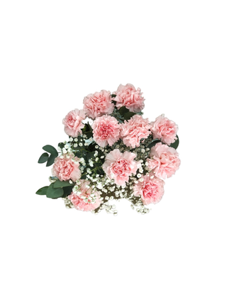 Ramo clavel rosa