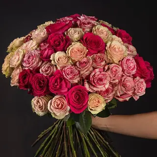 Ramo de 50 rosas bicolor rosas fucsia 