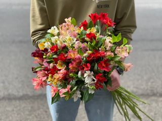 ფერადი ალსტრომერია 20 ცალი