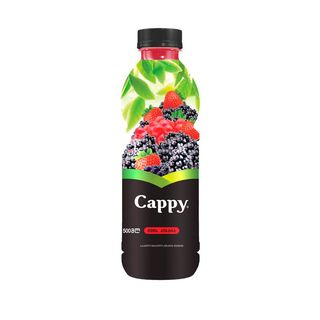 Cappy ტყის კენკრა 0.5 L