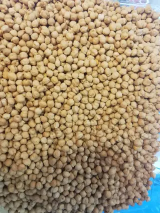Slanutak kg 