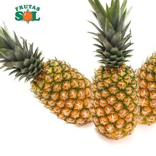 Piña Orsero Pieza (1,800 Kg. Aprox)