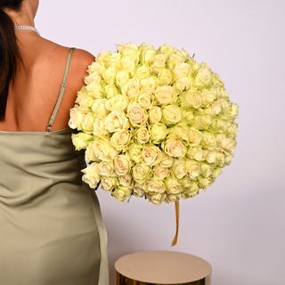 101 Sigur te iarta! - alb