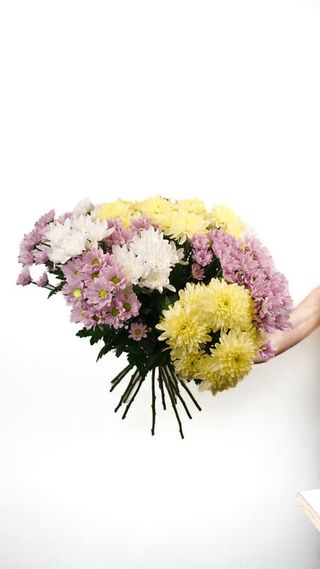 Bukiet Margaretki mix 7 szt.