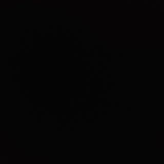 Pui de balta prajit cu susan