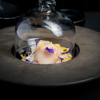 Hamachi carpaccio