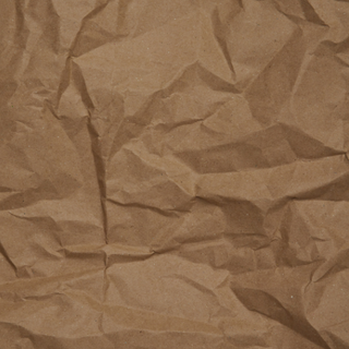 73. Sashimi Sobre Arroz