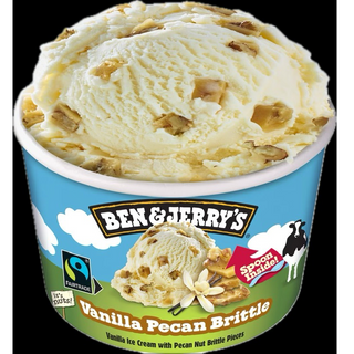 MINI B&J Vanilla Pecan Brittle