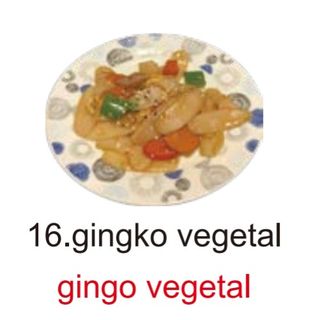 16. Gingko vegetal