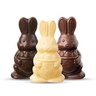 Panorama com Coelho de Chocolate