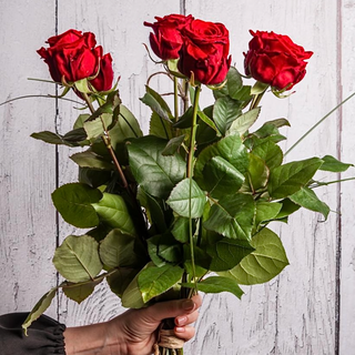 Bukiet 5 czerwonych róż 