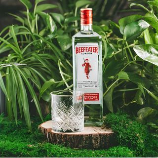 BEEFEATER  (50  мл.)