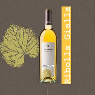 Ribolla Gialla Rauscedo