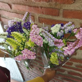 2 Ramos De Siemprevivas 