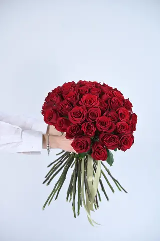 Red Rose ( 51 ) 