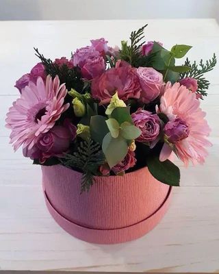 B_010 nježna klasika 