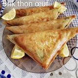 Brik Tunisien