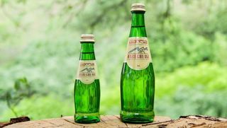 ნაბეღლავი 0.5