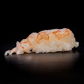 Nigiri amaebi