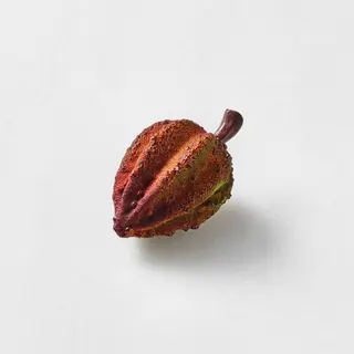 Cocoa 365