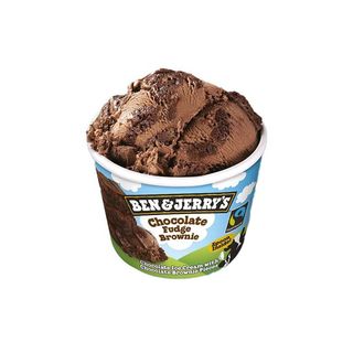 B&J 100ml Fudge Brownie