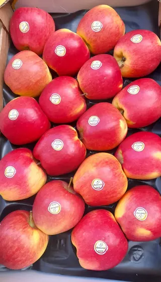 Mela ambrosia al kg 