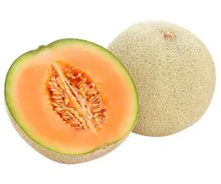 Melón Cantalup
