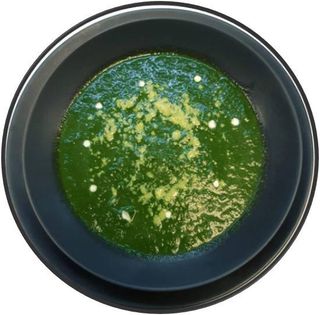 Crema Di Spinaci Al Parmagiano