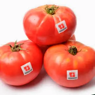Tomate Rosa Kilo