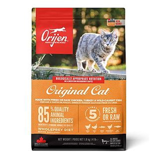 Ორიჟენი Კნუტი Და Კატა Original Cat 1 Კგ