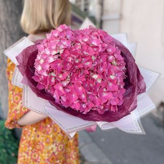 ჟოლოსფერის ჰორტენზიის თაიგული 1134