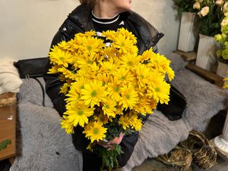 ყვითელი ქრიზანთემა