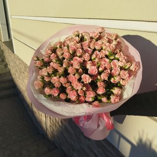 25 галузок рожевої кущової троянди