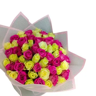 Two Colour Mix