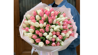 Mix tulipanów biało-różowych 101