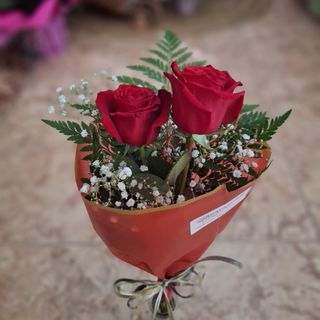 Dos Rosas Rojas "Dúo Sacapuntas"