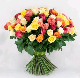 25 ფერადი ვარდი