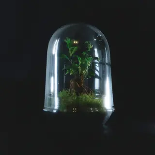 Terrario pequeño 