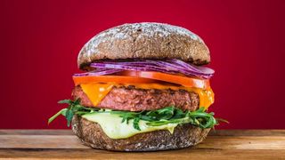 Menu Hamburger Vegetal