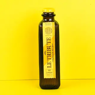 GINGER BEER LE TRIBUTE