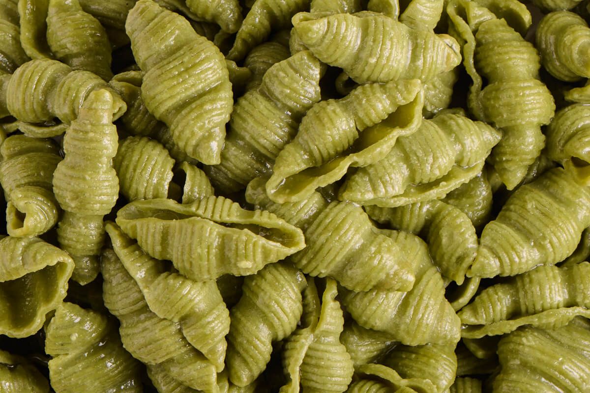 Conchiglie