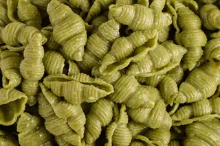 Conchiglie