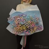 Buchet din gipsofila multicolor