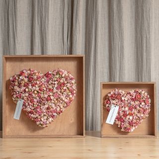 Corazón Preservado Pequeño