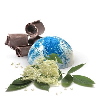 Kwiat czarnego bzu (13g)